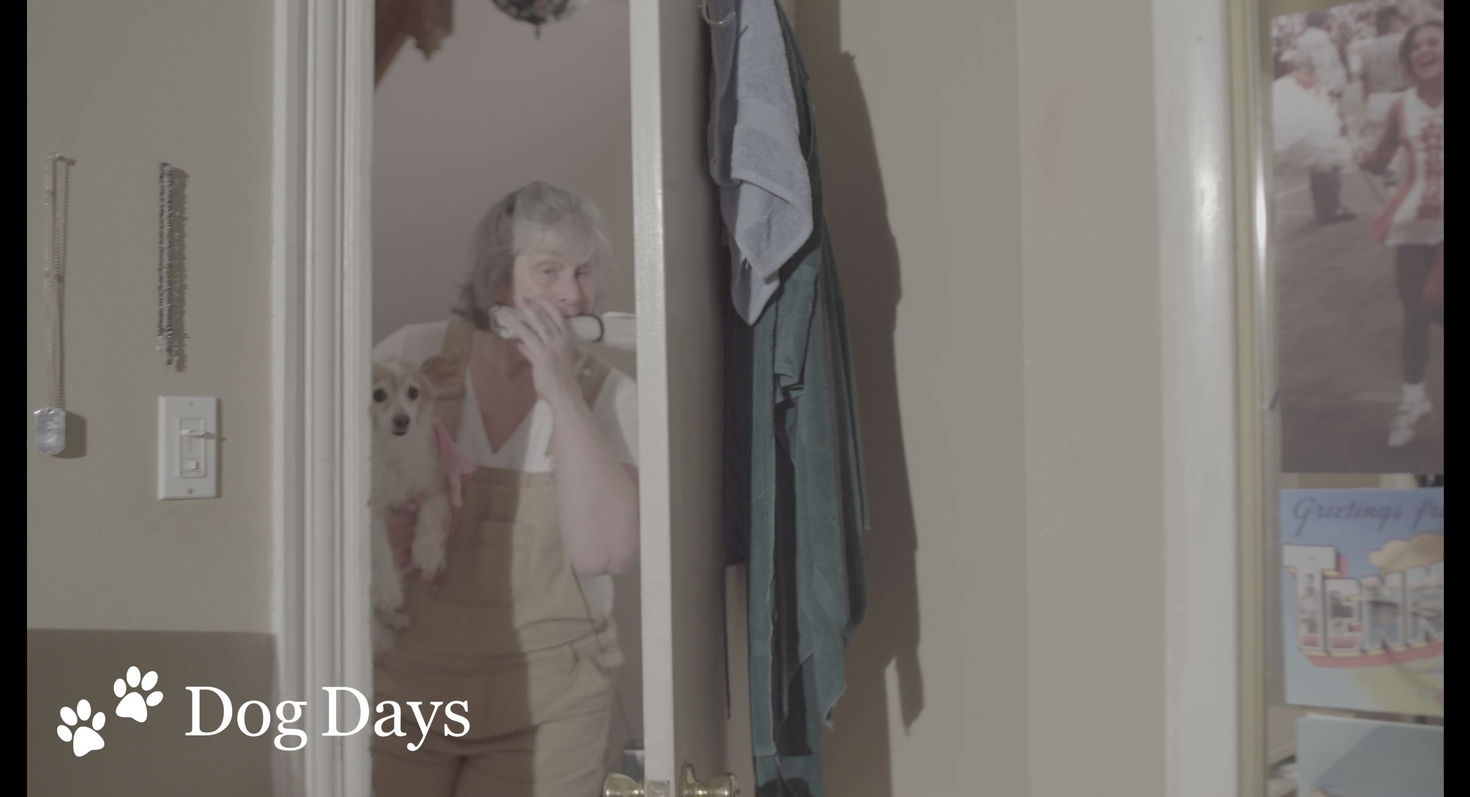 June 2024 - 001 - CD Comedic - Dog Days Final Clip